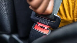 Seatbelt T-Shirt Goes Viral After Introduction of E-Challan in Major Cities